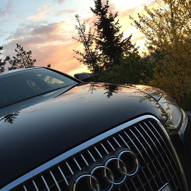 12445951 898478773607748 1854414208 n